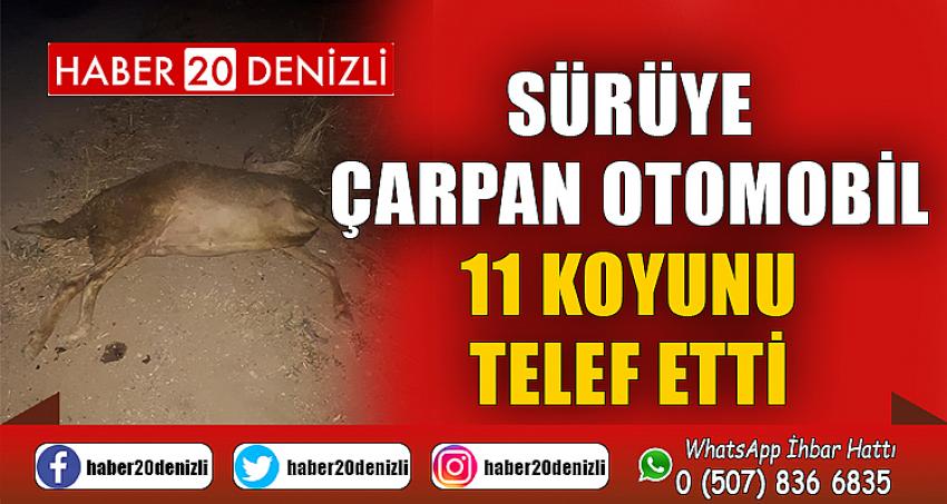 Sürüye çarpan otomobil 11 koyunu telef etti