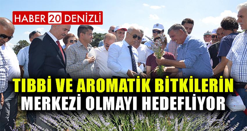 Tıbbi ve Aromatik Bitkilerin Merkezi Olmayı Hedefliyor