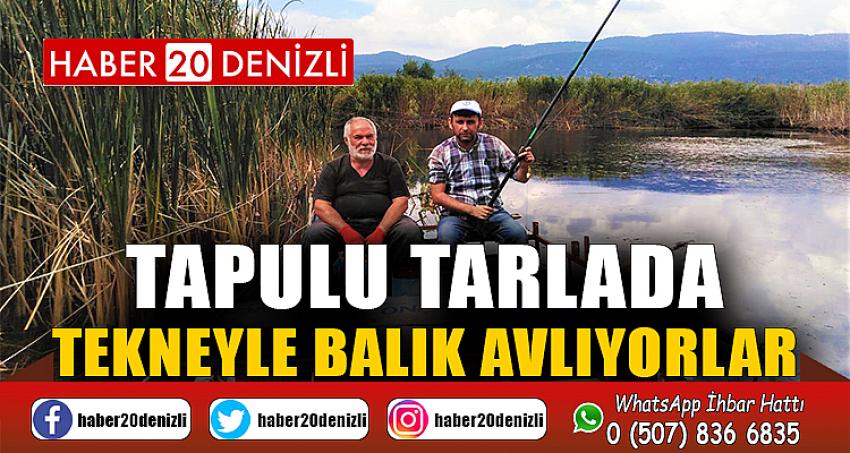 Tapulu tarlada tekneyle balık avlıyorlar