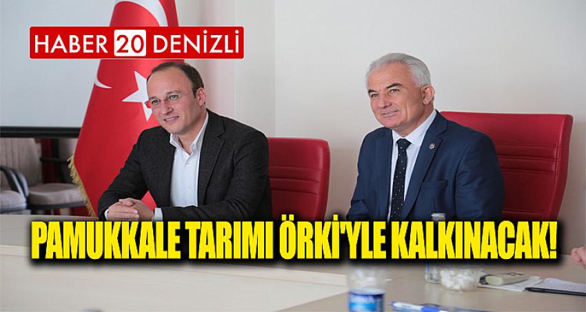 PAMUKKALE TARIMI ÖRKİ'YLE KALKINACAK! 