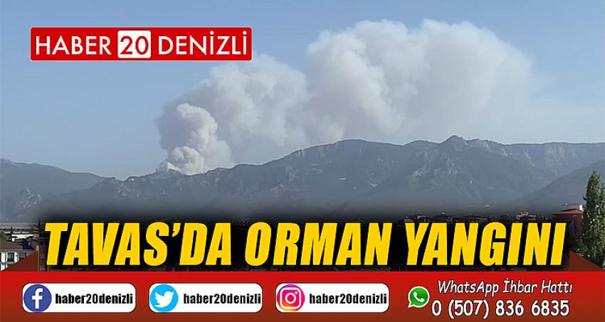 Tavas’da orman yangını