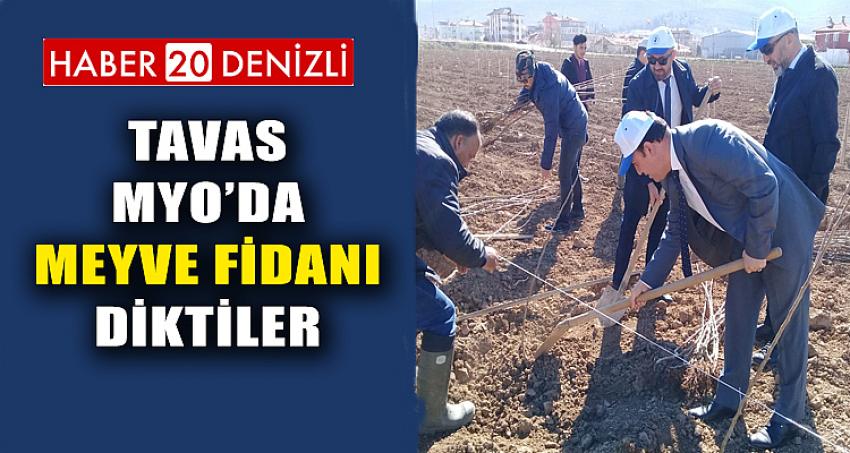 Tavas MYO’da Meyve Fidanı Diktiler