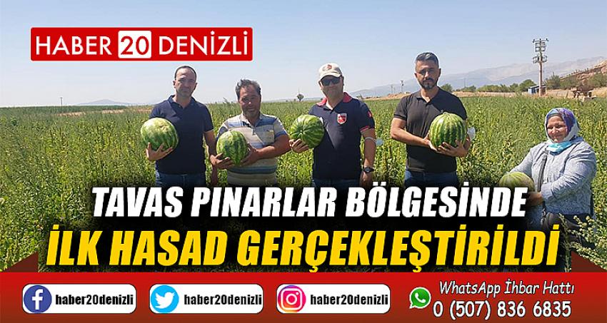 TAVAS PINARLAR BÖLGESİNDE İLK HASAD GERÇEKLEŞTİRİLDİ