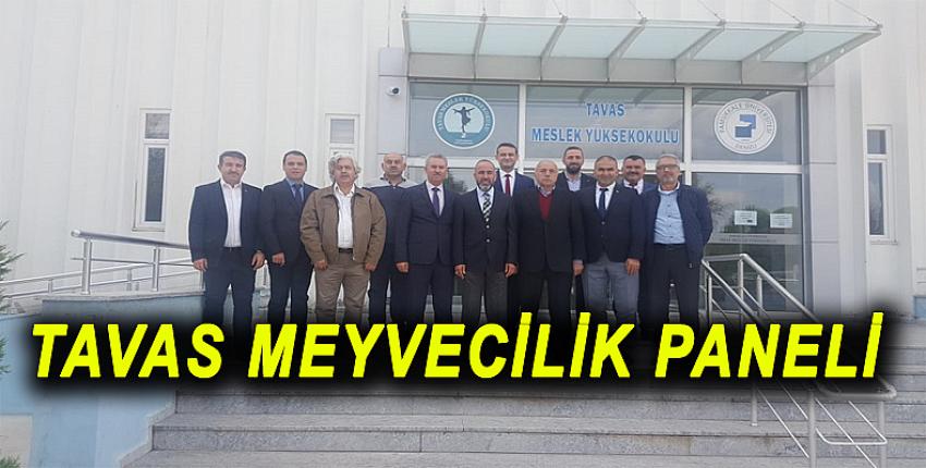 TAVAS MEYVECİLİK PANELİ