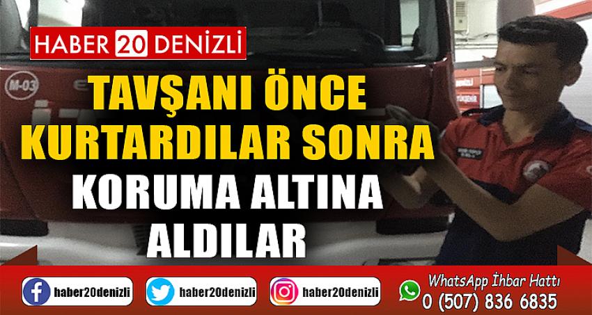 Tavşanı önce kurtardılar sonra koruma altına aldılar