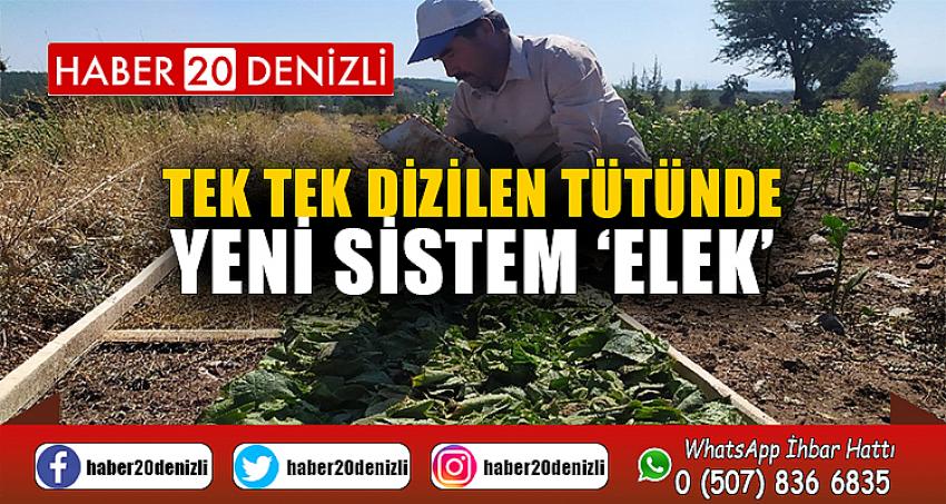 Tek tek dizilen tütünde yeni sistem ‘elek’