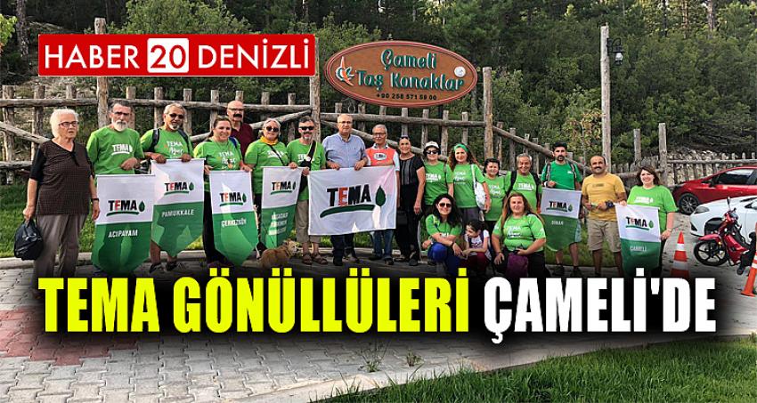 TEMA GÖNÜLLÜLERİ ÇAMELİ'DE