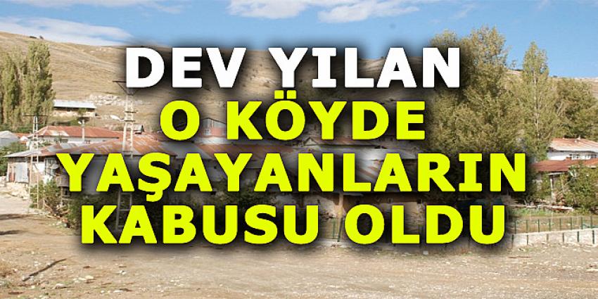 DEV YILAN O KÖYDE YAŞAYANLARIN KABUSU OLDU