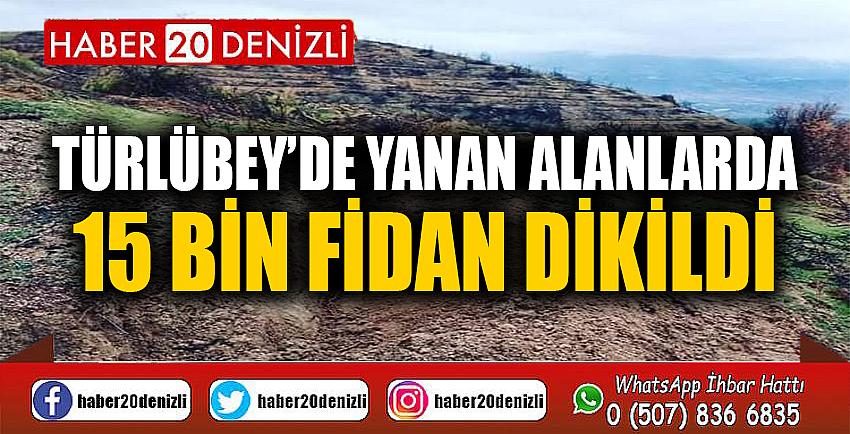 Türlübey’de yanan alanlarda 15 bin fidan dikildi