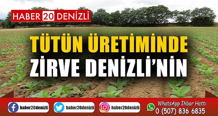 Tütün Üretiminde Zirve Denizli’nin