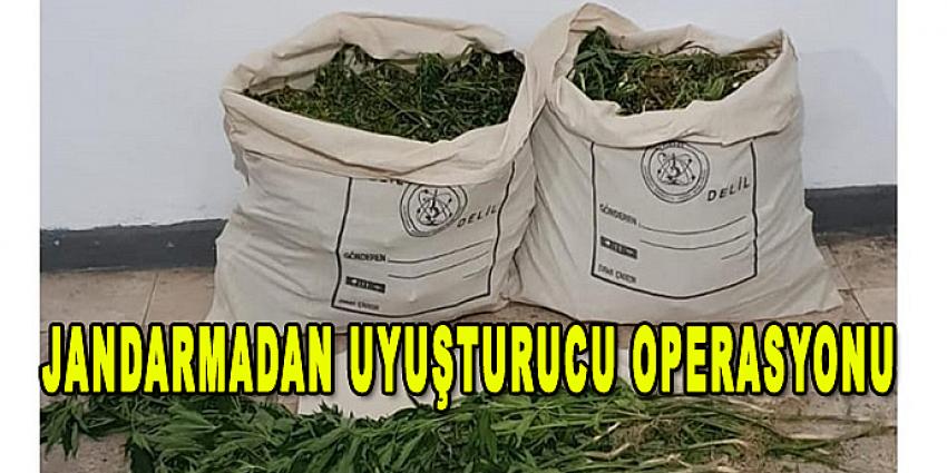 JANDARMADAN UYUŞTURUCU OPERASYONU