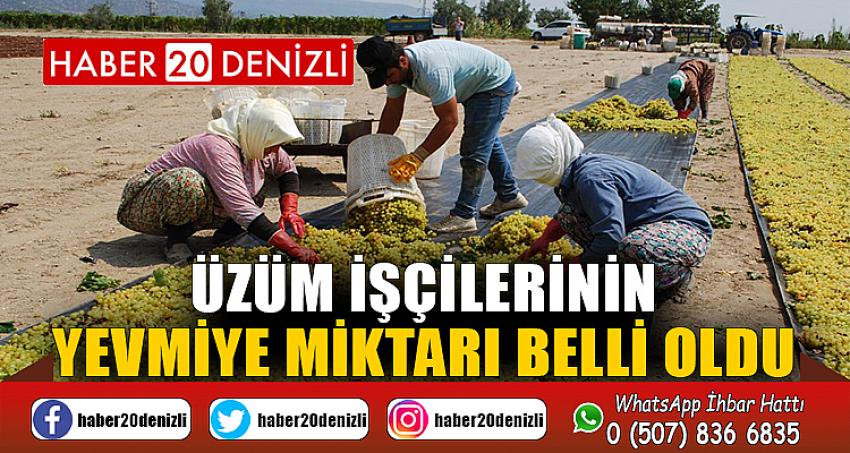 Üzüm işçilerinin yevmiye miktarı belli oldu