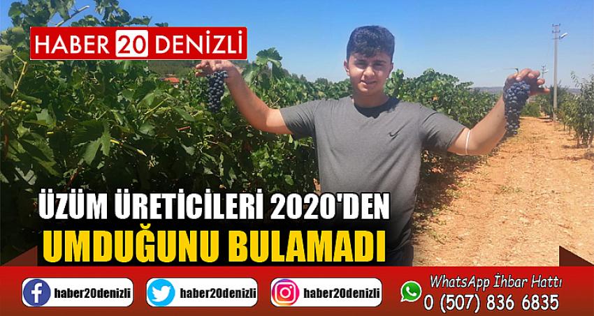 Üzüm üreticileri 2020'den umduğunu bulamadı