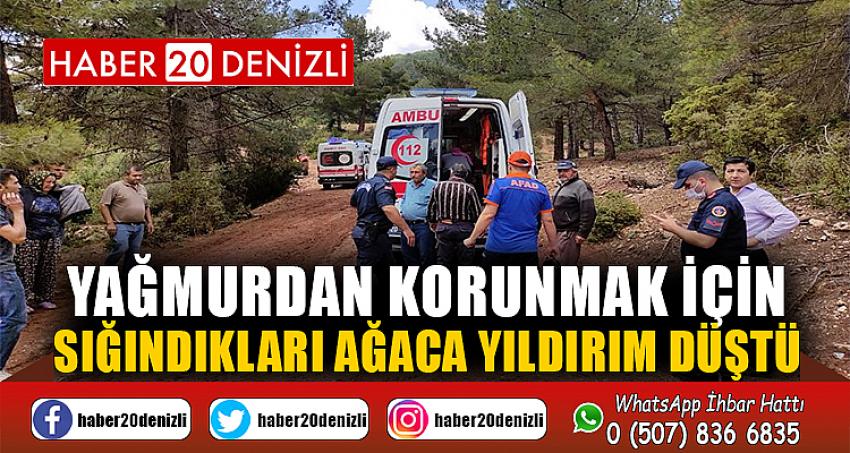 Yağmurdan korunmak için sığındıkları ağaca yıldırım düştü