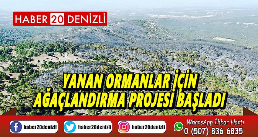 Yanan ormanlar için ağaçlandırma projesi başladı