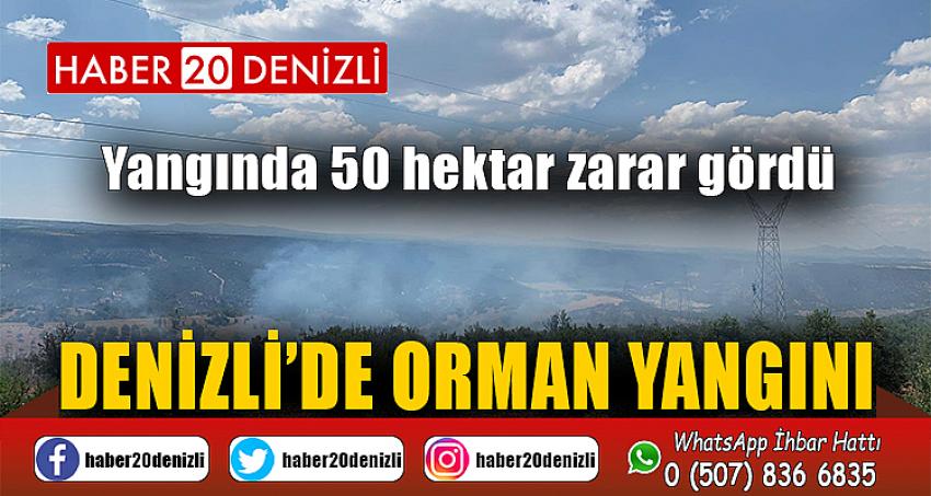 DENİZLİ'DE ORMAN YANGINI