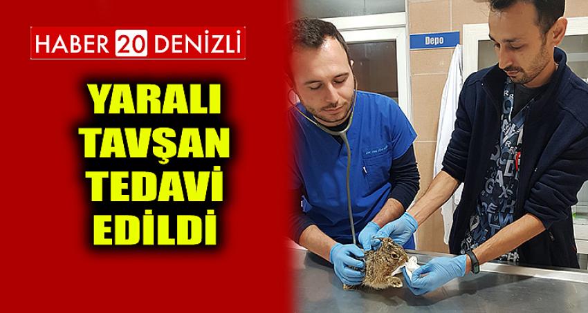 YARALI TAVŞAN TEDAVİ EDİLDİ