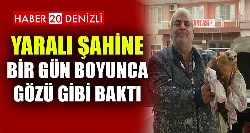 Yaralı şahine bir gün boyunca gözü gibi baktı