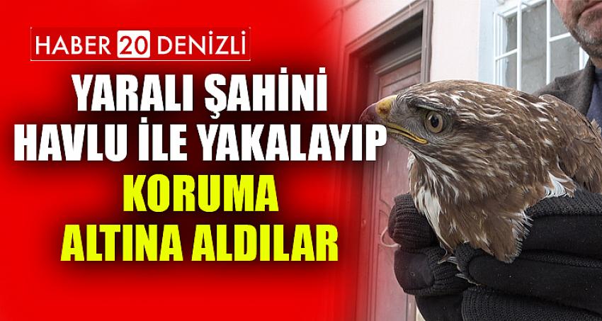 Yaralı şahini havlu ile yakalayıp koruma altına aldılar