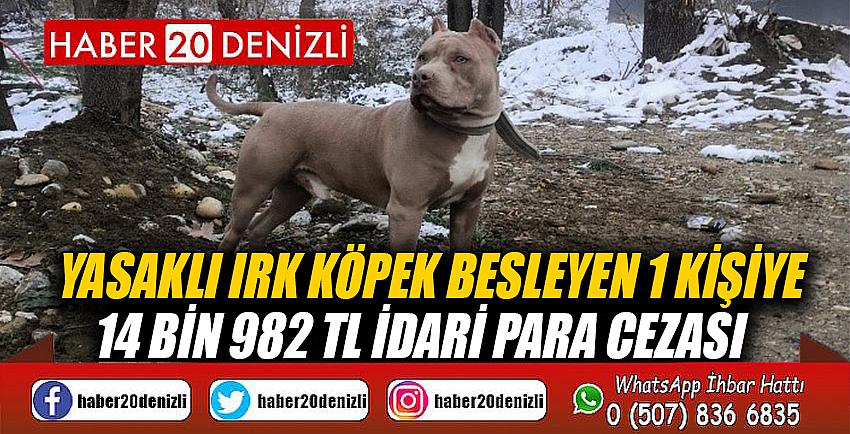 Yasaklı ırk köpek besleyen 1 kişiye 14 bin 982 TL idari para cezası