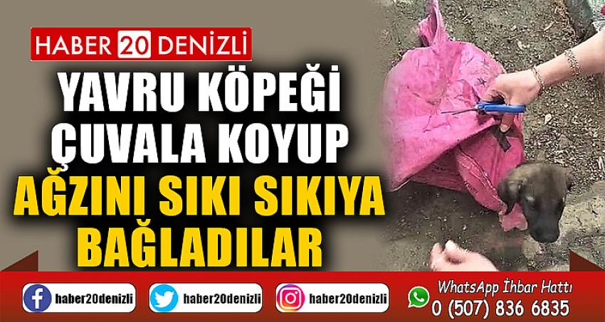 Yavru köpeği çuvala koyup, ağzını sıkı sıkıya bağladılar