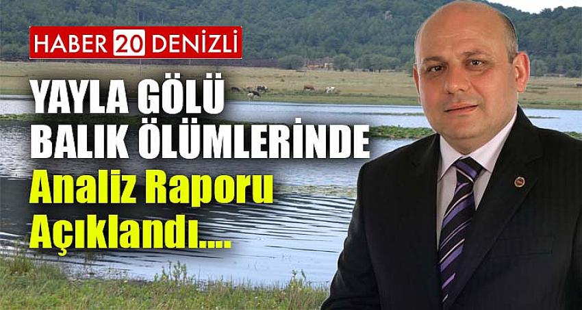 Yayla Gölü Balık ölümlerinde analiz raporu açıklandı