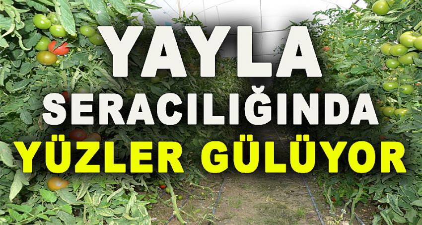 Yayla Seracılığında Yüzler Gülüyor