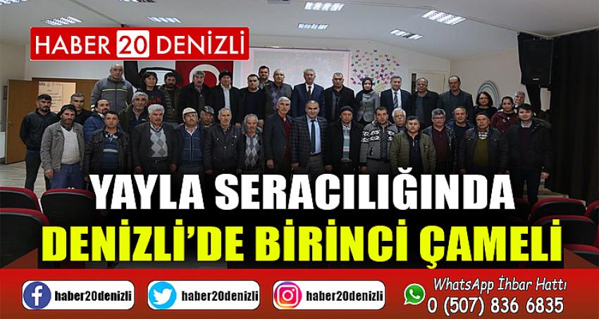 YAYLA SERACILIĞINDA DENİZLİ’DE BİRİNCİ ÇAMELİ