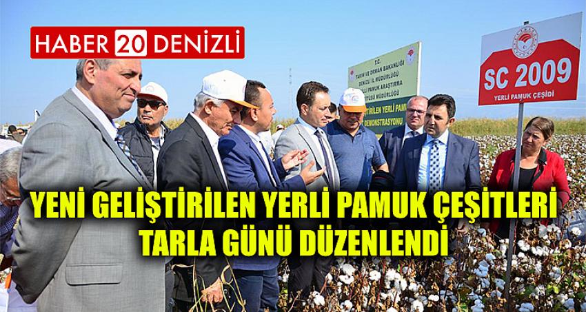 Yeni Geliştirilen Yerli Pamuk Çeşitleri Tarla Günü Düzenlendi