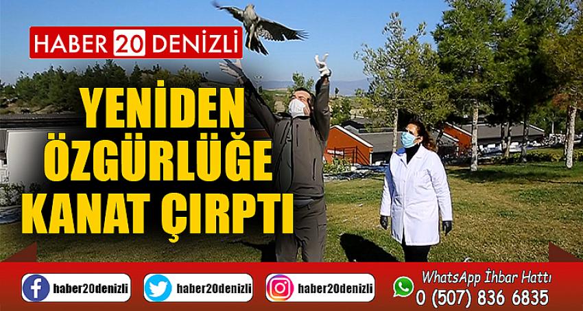  Yeniden özgürlüğe kanat çırptı