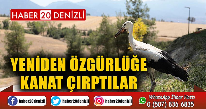 Yeniden özgürlüğe kanat çırptılar