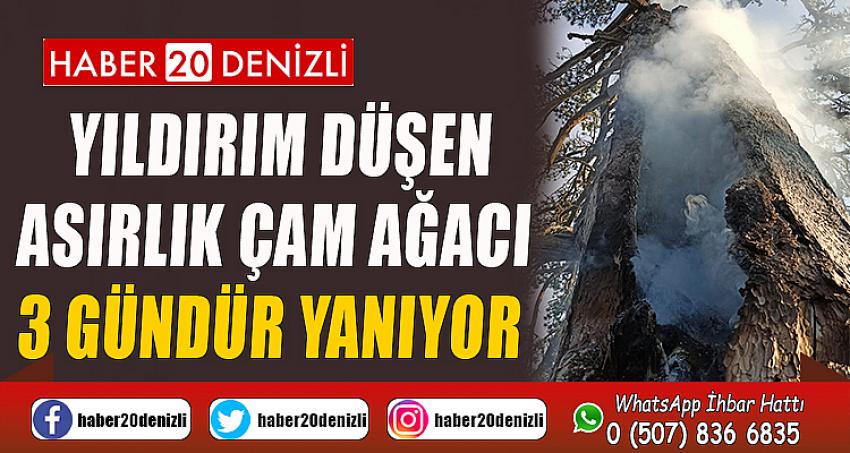 Yıldırım düşen asırlık çam ağacı 3 gündür yanıyor