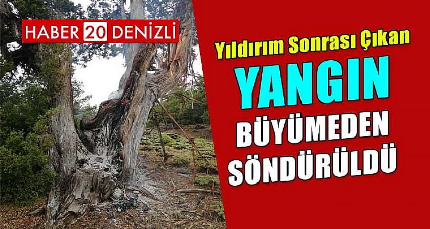 Yangın Büyümeden Söndürüldü