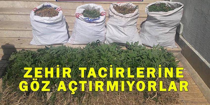 ZEHİR TACİRLERİNE GÖZ AÇTIRMIYORLAR