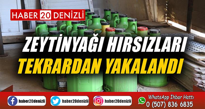 Zeytinyağı hırsızları tekrardan yakalandı