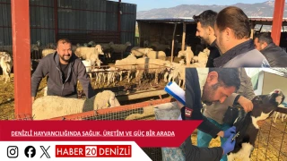 Denizli Hayvancılığında Sağlık, Üretim ve Güç Bir Arada